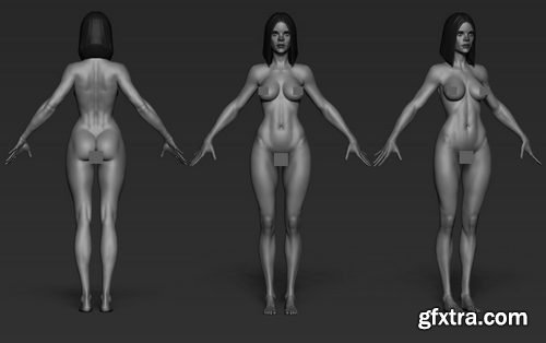 Artstation - Female Character Basemesh (Woman Body)