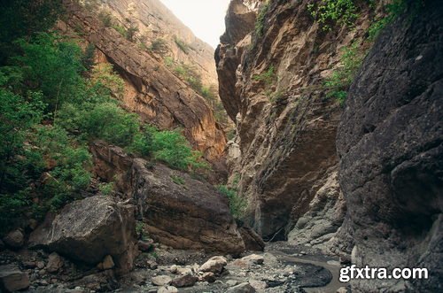 Artstation - 650+ Forest Gorges Reference Pictures