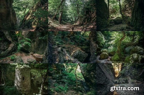 Artstation - 650+ Forest Gorges Reference Pictures