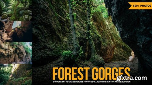 Artstation - 650+ Forest Gorges Reference Pictures