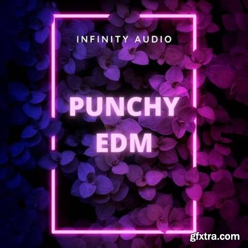 Infinity Audio Punchy EDM