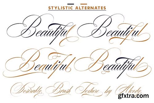 CreativeMarket - Desirable Brush Texture