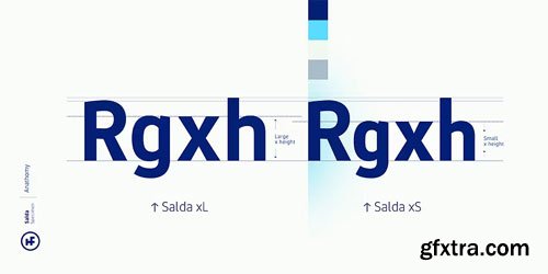 Myfonts - Salda Font Family Myfonts - Salda Font Family