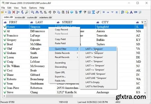 DBF Viewer 2000 v8.90