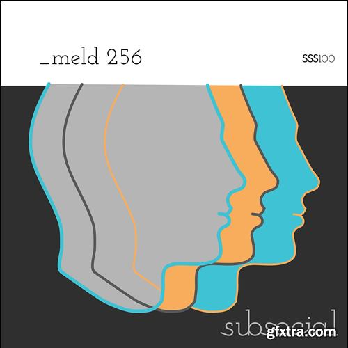 Subsocial Studios SSS100 _Meld 256 (Ableton Meld Presets)