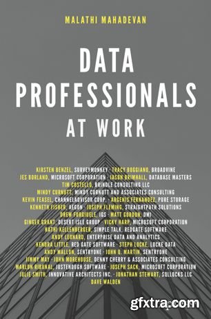Data Professionals at Work