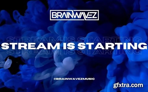 Brainwavez 'Crackdown' Project Breakdown