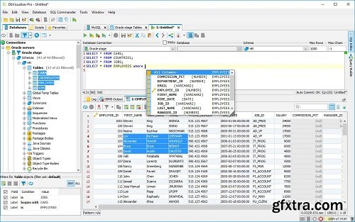 DbVisualizer Pro 25.2.5 DbVisualizer Pro 25.2.5