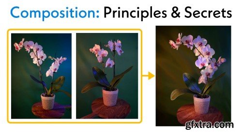 Skillshare - Composition: Principles & Secrets