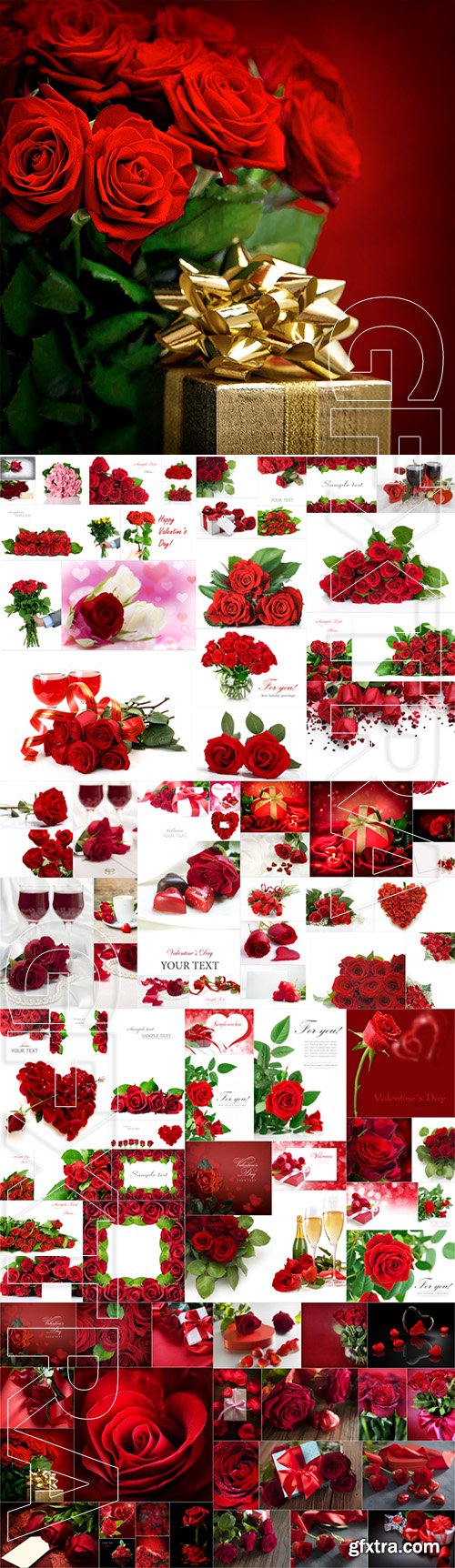 Roses, backgrounds with beautiful flowers stock photo set
