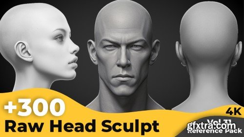 Artstation - +300 Raw Head Sculpt Reference Images(4k)