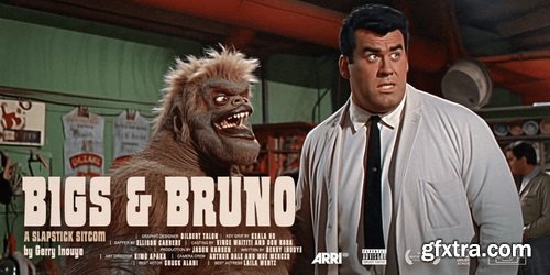 Myfonts - Bugleboy Font Family