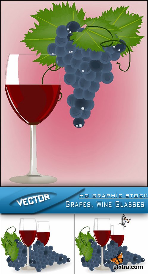 Stock Vector - Grapes, Wine Glasses