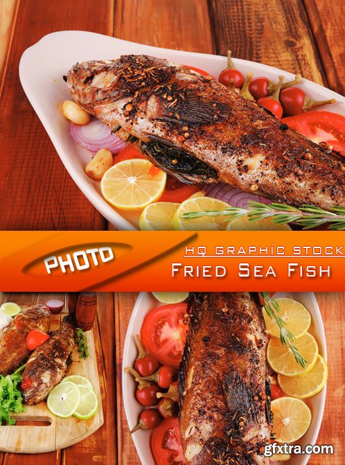 Stock Photo - Fried Sea Fish
