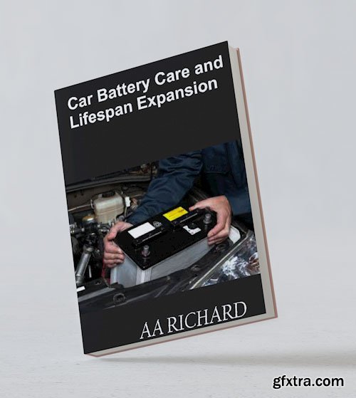 Car Battery Care and Lifespan Expansion