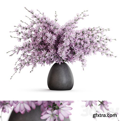 3dsky Pro - Bouquet 52