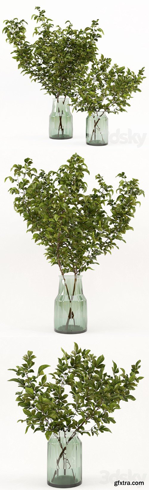 3dsky Pro - Branches in the vase 002