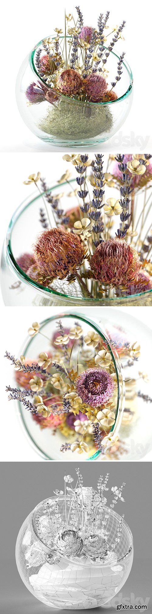 3dsky Pro - Bouquet with dry protea, lavender and white flowers