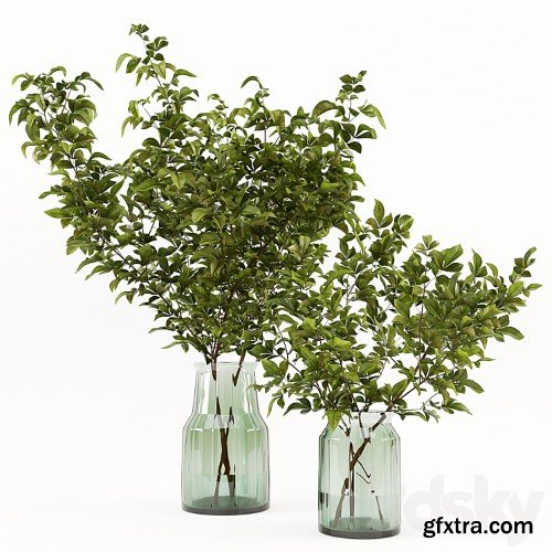 3dsky Pro - Branches in the vase 002