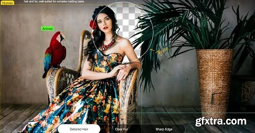 AIArty Image Matting 2.6