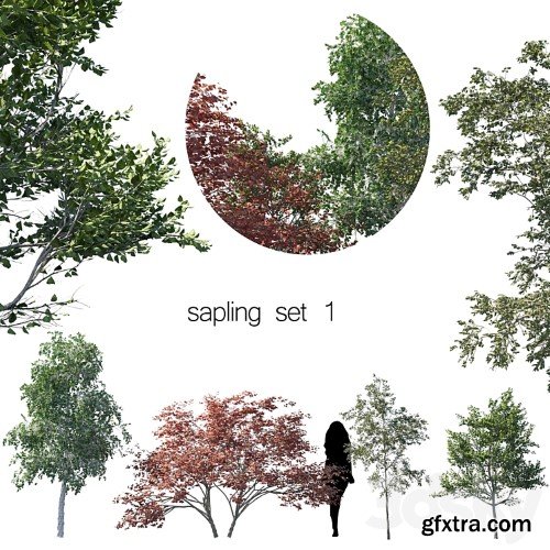 3dsky Pro - sapling set 1