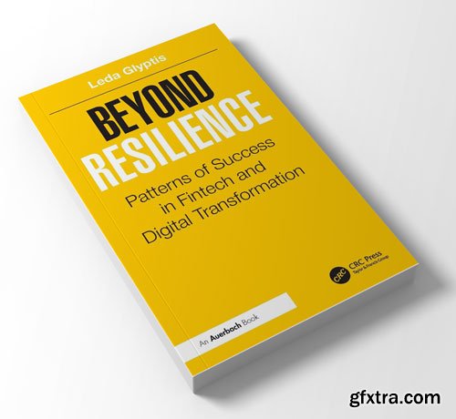 Beyond Resilience: Patterns of Success in Fintech and Digital Transformation