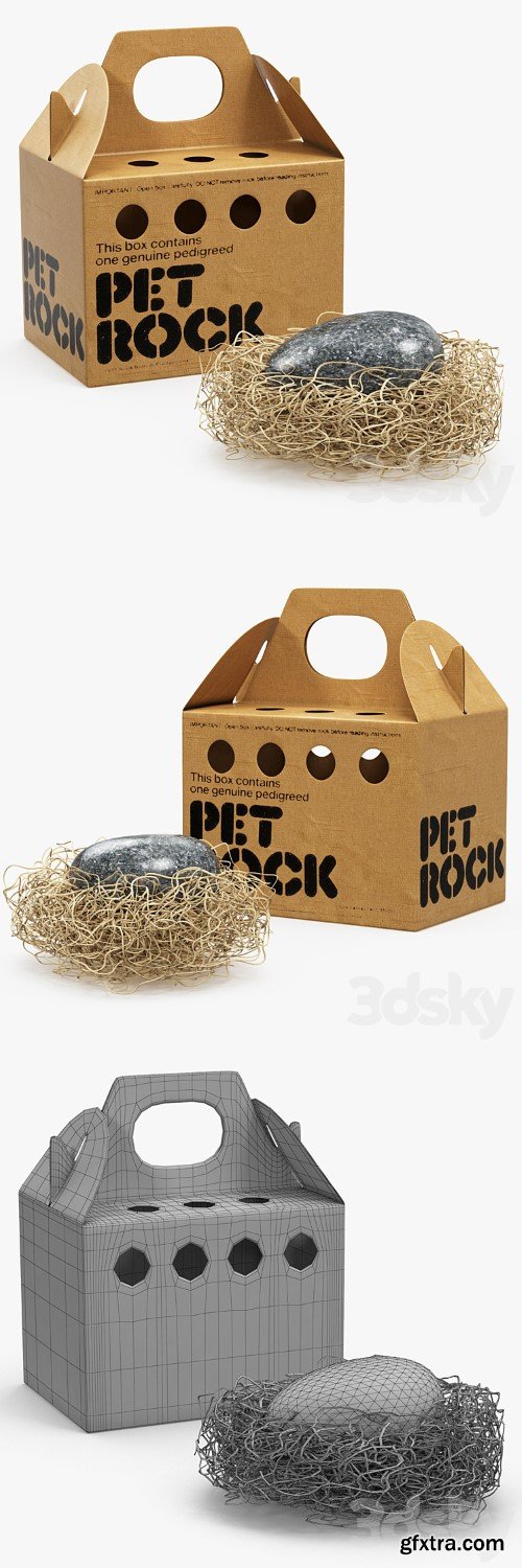 3dsky Pro - Pet rock