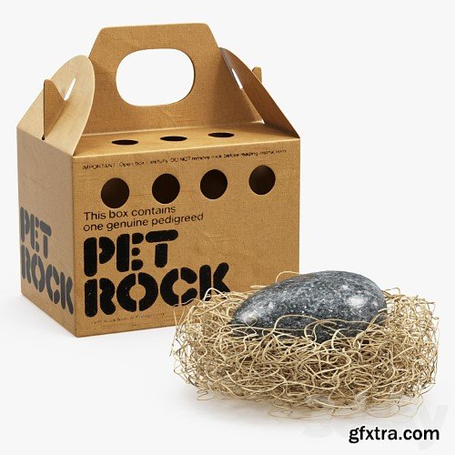 3dsky Pro - Pet rock