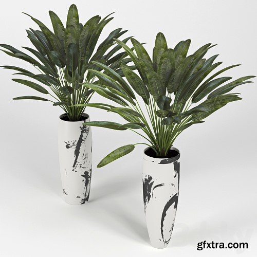 3dsky Pro - Tropical_3