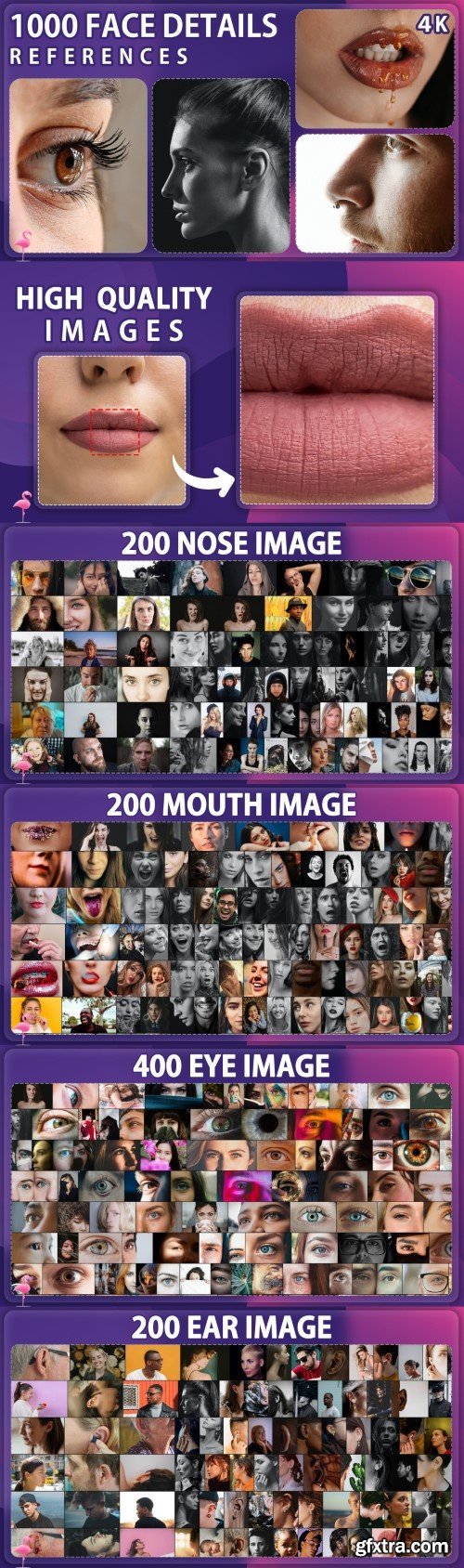 Gumroad - 1000 Eye & Mouth & Nose & Ear Image Reference Pack