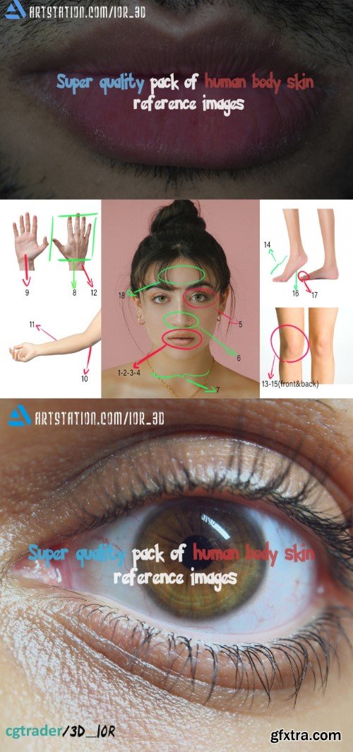 Artstation - Super quality pack of human body skin reference images