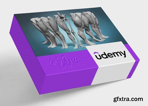 Udemy - Legs and feet anatomy exercises course