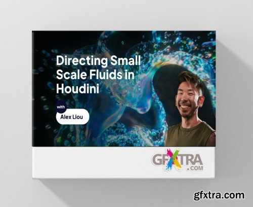 Motion Designers Academy - Directing Small Scale Fluids in Houdini