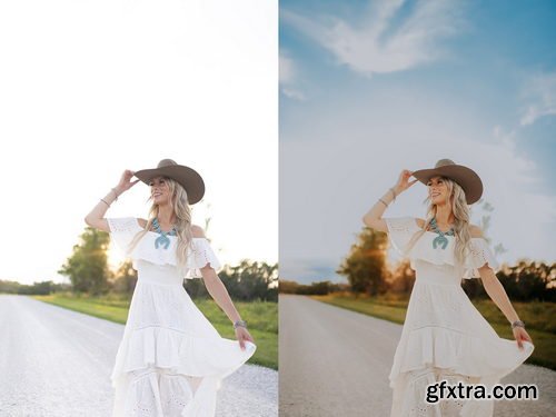 Lemon And Lace Presets - AI Lemon Twist