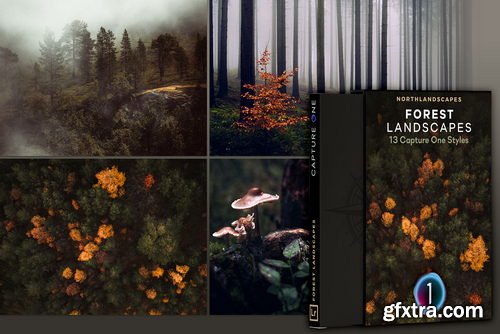 Northland Scapes - Capture ONE Master Collection