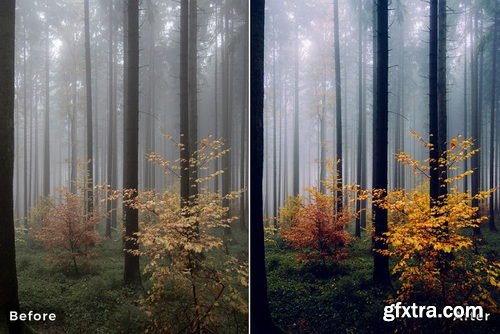 Northland Scapes - Capture ONE Master Collection