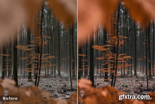 Northland Scapes - Capture ONE Master Collection