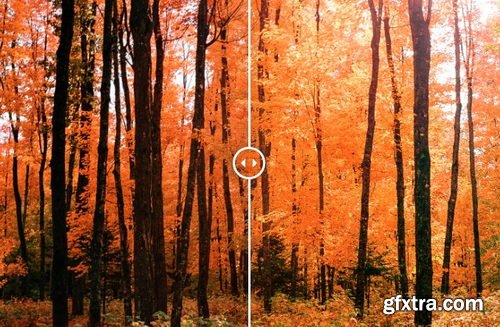 X-Equals - Complete Bundle