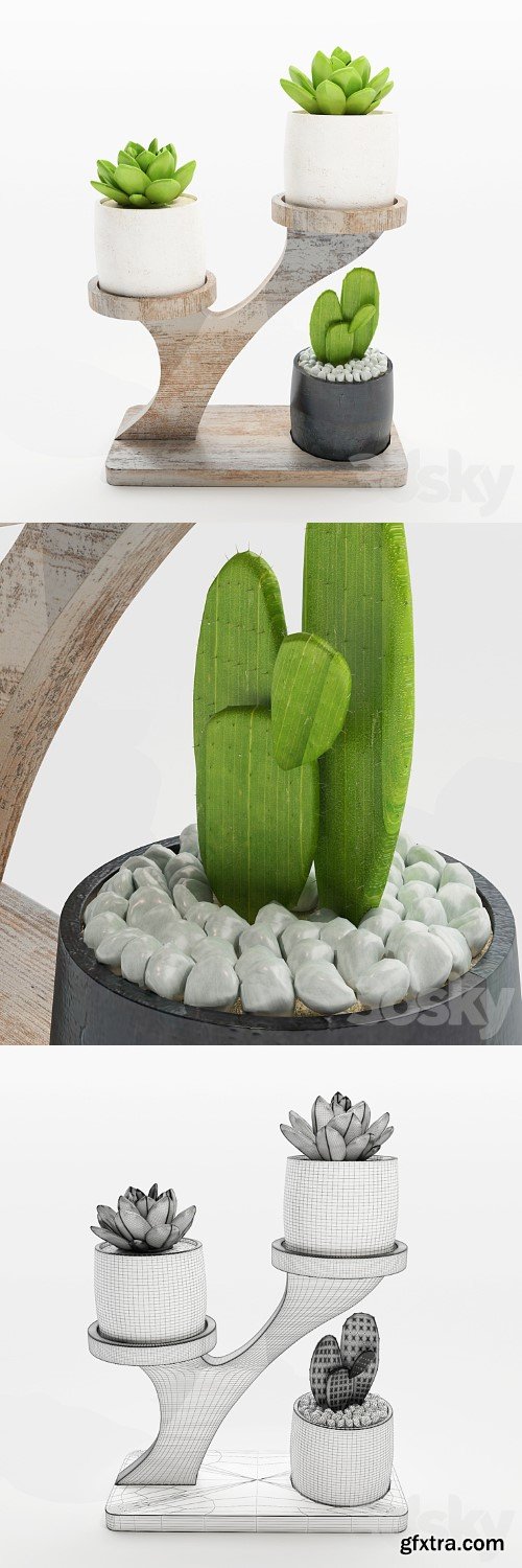 3dsky Pro - Cactus
