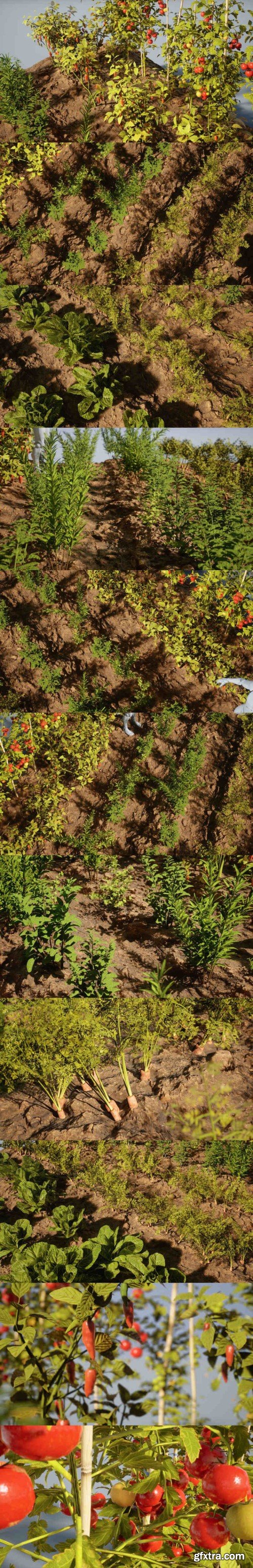 Fab - Foliage VOL.24 - Farming Plants