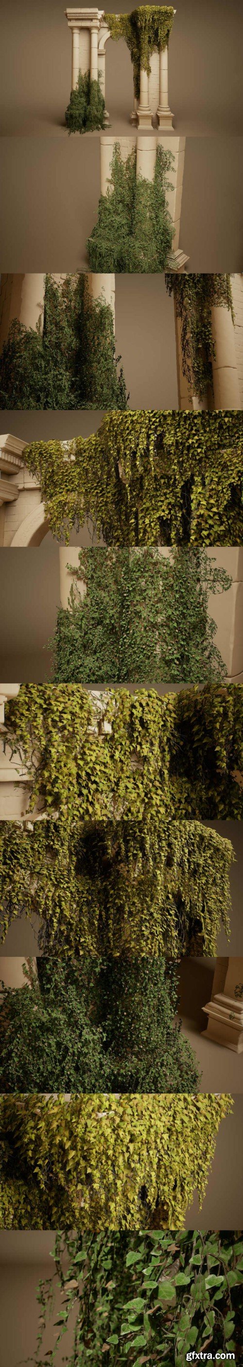 Fab - Foliage VOL.23 - Ivy