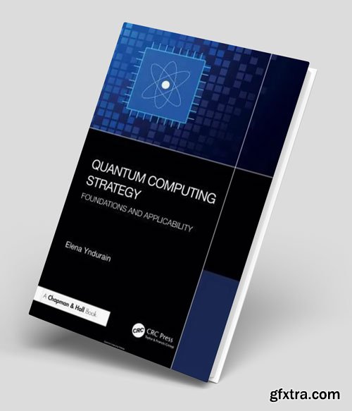 Quantum Computing Strategy: Foundations and Applicability