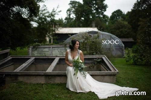 Twig & Olive - Floral Matte LR