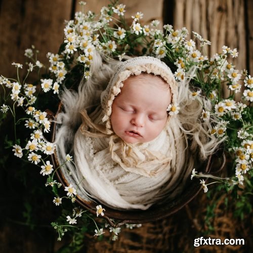 Twig & Olive - Floral Matte LR