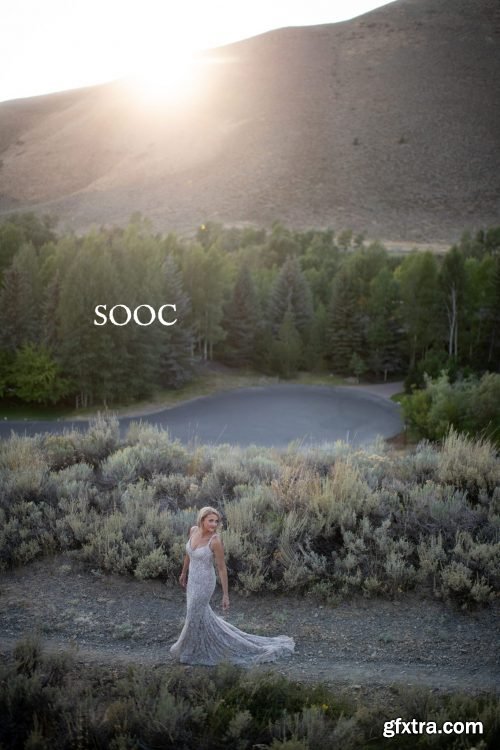 Twig &amp; Olive - Rustic Matte Vol. 1