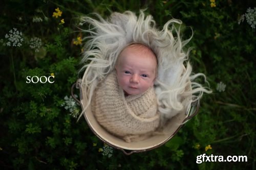 Twig &amp; Olive - Rustic Matte Vol. 1