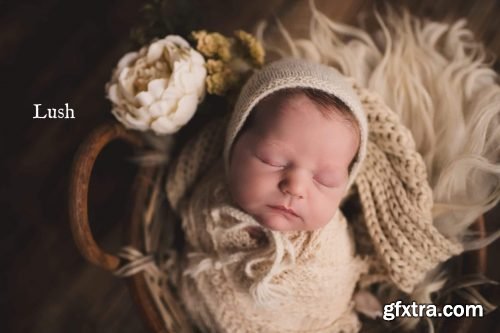 Twig & Olive - Sleepy Matte