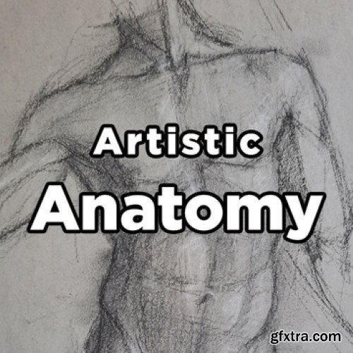 Patreon - Artistic Anatomy - Ady Graff and Ken Goshen