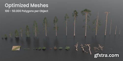 BlenderMarket - Dynamic Pine Biomes