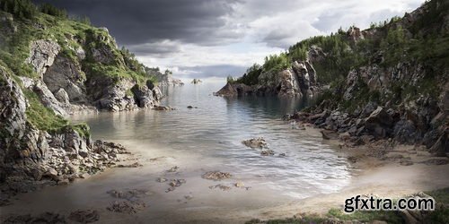 BlenderMarket - Dynamic Pine Biomes